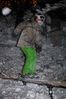 DSC_0052.JPG